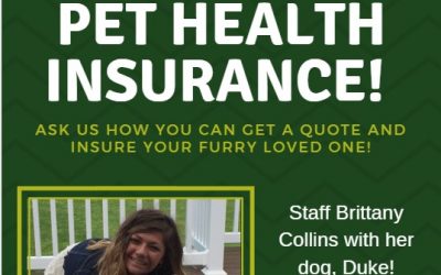 VanVleet Insurance now partnering with FIGO to offer Pet Health Insurance